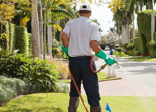 About Lexington SC Pest Control Pros